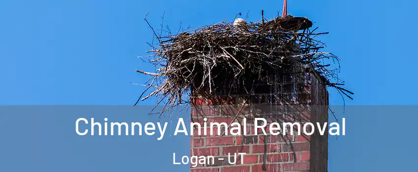  Chimney Animal Removal Logan - UT