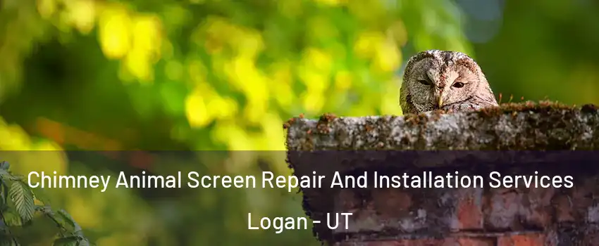  Chimney Animal Screen Repair And Installation Services Logan - UT
