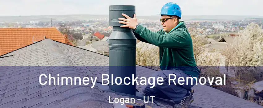  Chimney Blockage Removal Logan - UT