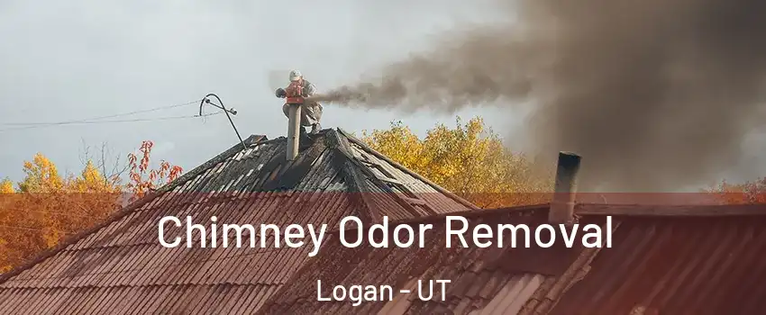 Chimney Odor Removal Logan - UT