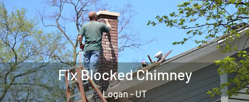  Fix Blocked Chimney Logan - UT