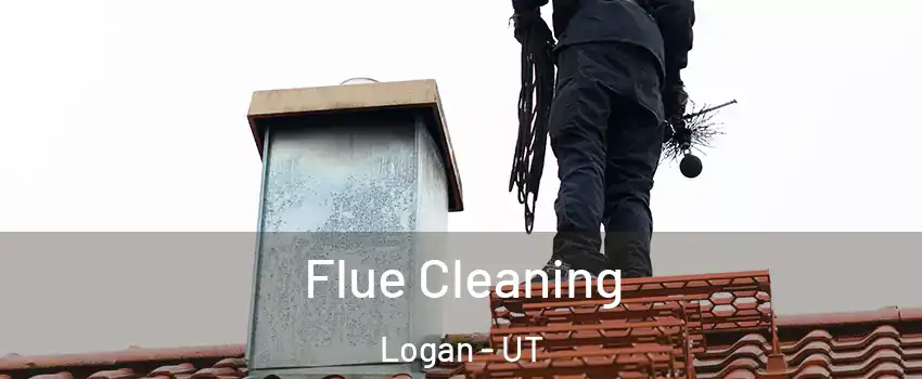  Flue Cleaning Logan - UT