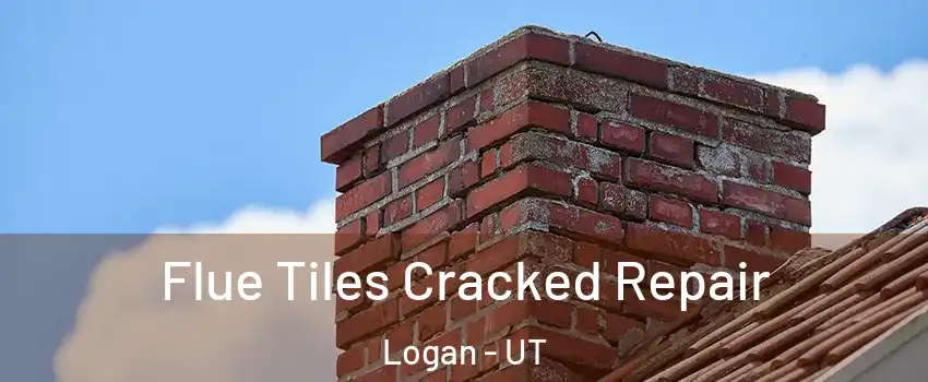  Flue Tiles Cracked Repair Logan - UT
