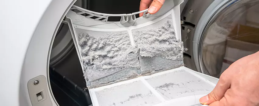 Best Dryer Lint Removal Company in Logan, Utah