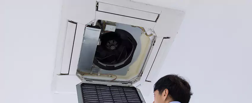 Benefits of Professional Air Duct Cleaning in Logan, Utah