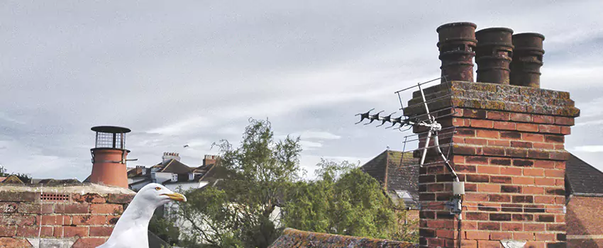 Chimney Cleaning And Restoration in Logan, Utah