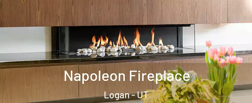  Napoleon Fireplace Logan - UT